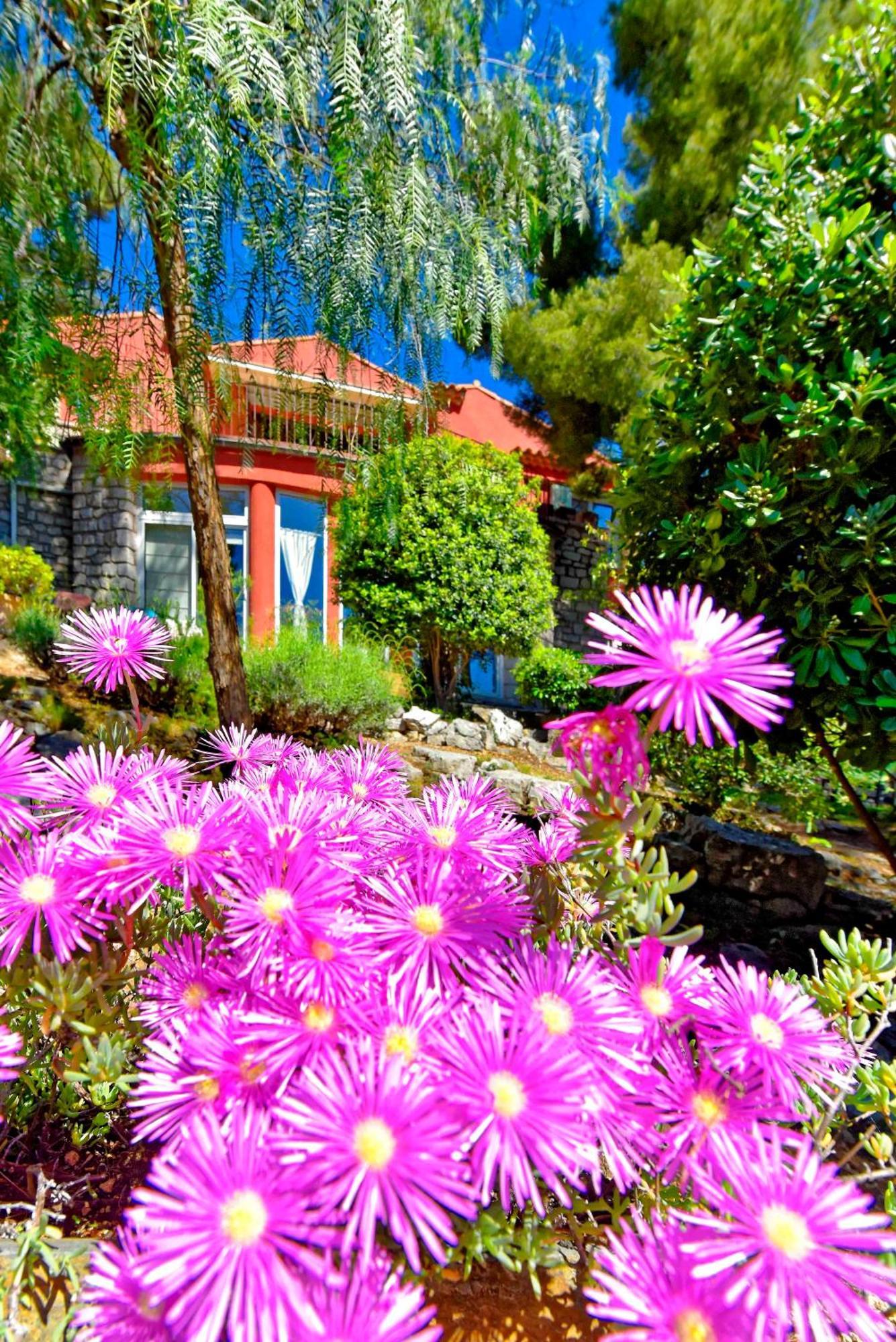 Appartements Avec Jardin Dans Villa Rocaille كاسيس المظهر الخارجي الصورة